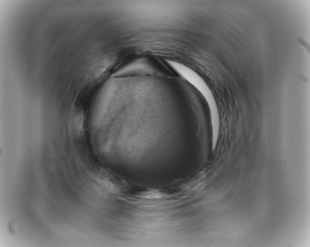 X0000096420219200801241324