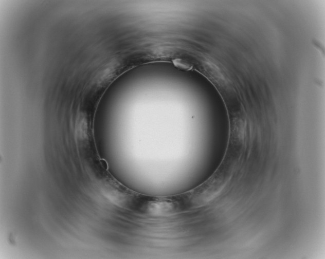 X0000096420220200801241324