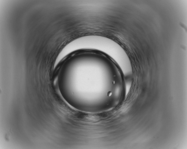 X0000096420221200801241324