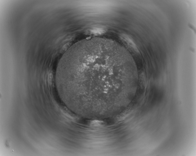 X0000096420222200801241324