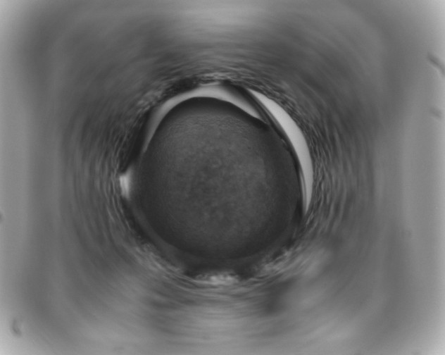 X0000096420223200801241324