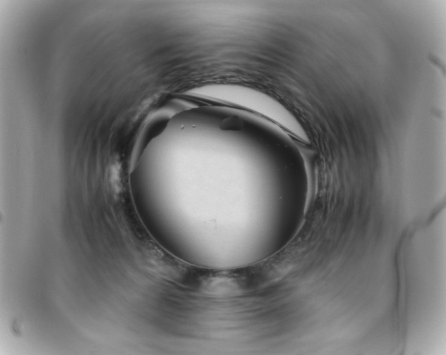 X0000096420224200801241324