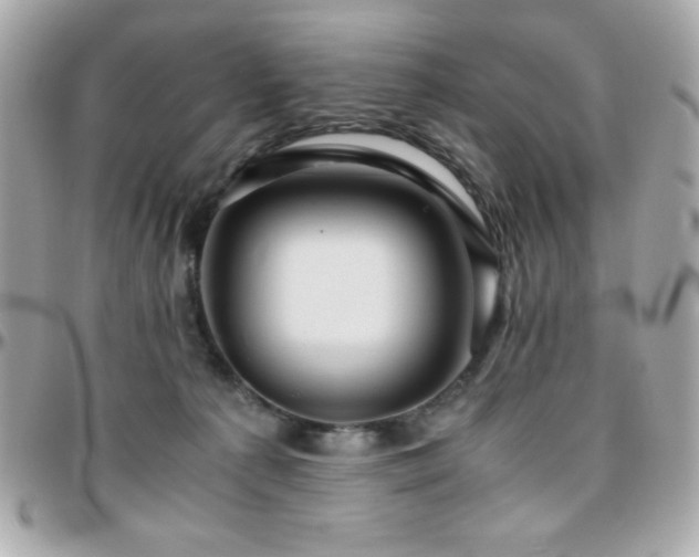 X0000096420225200801241324