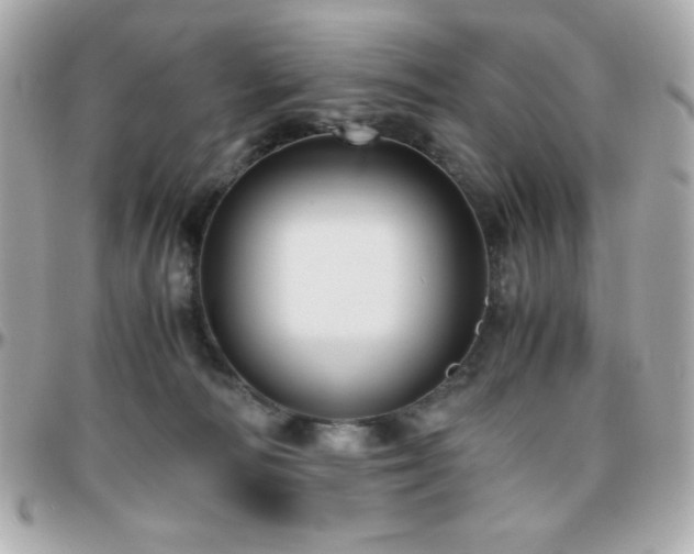 X0000096420226200801241324