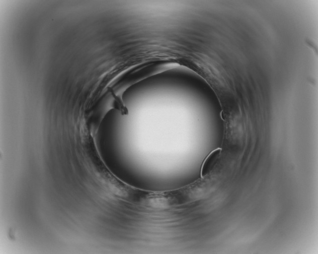X0000096420228200801241324