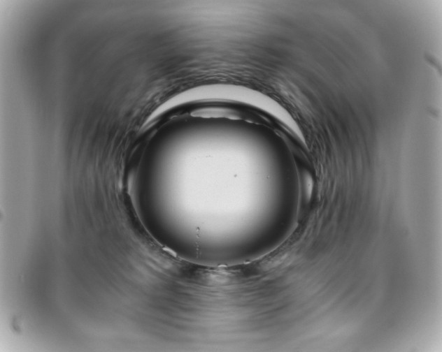 X0000096420229200801241324