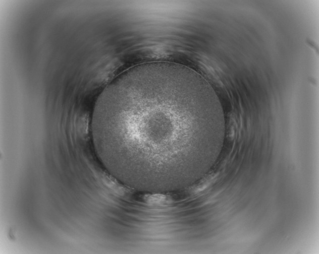 X0000096420230200801241324