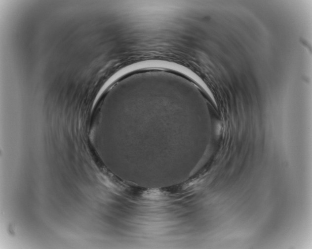 X0000096420231200801241324