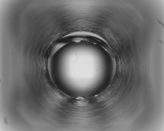 X0000096420232200801241324