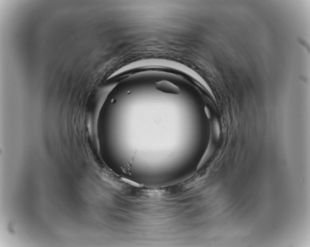 X0000096420233200801241324