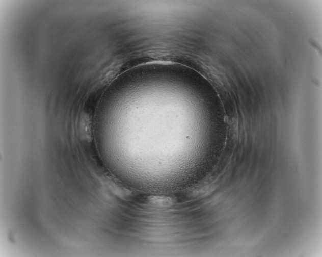 X0000096420234200801241324