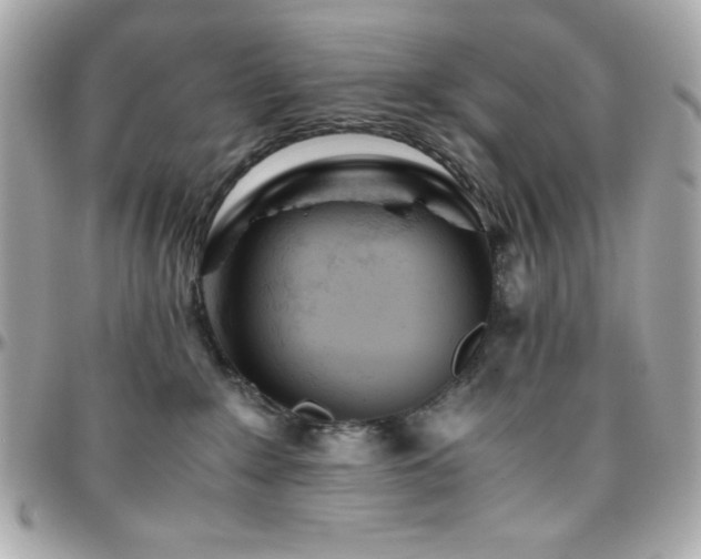X0000096420235200801241323