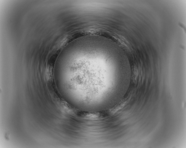 X0000096420236200801241323