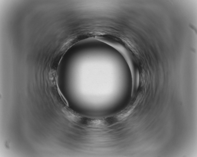 X0000096420237200801241323