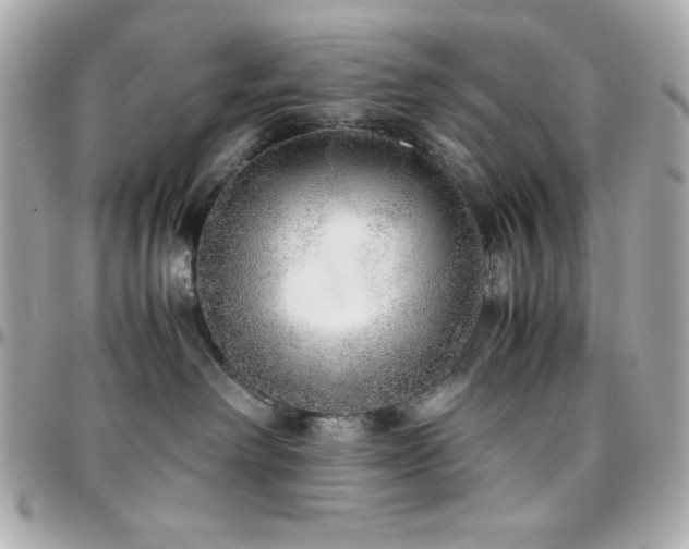 X0000096420238200801241323