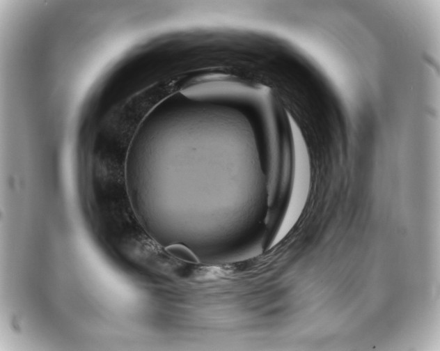 X0000096420239200801241323