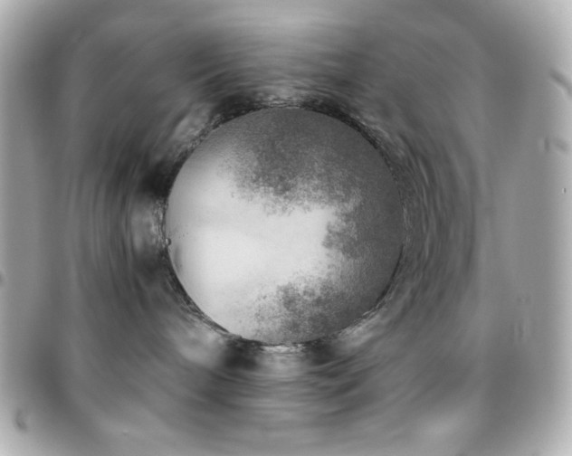 X0000096420240200801241323
