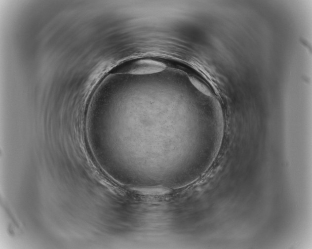 X0000096420241200801241323