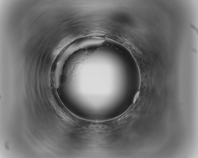 X0000096420242200801241323