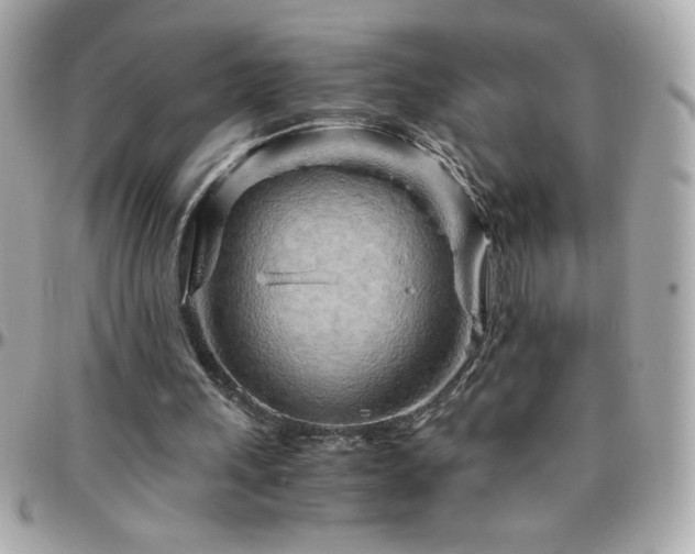 X0000096420243200801241323