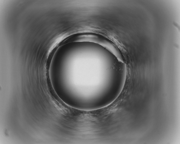 X0000096420244200801241323