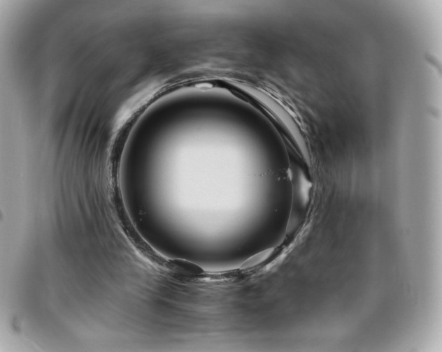 X0000096420245200801241323