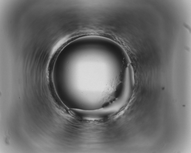 X0000096420246200801241323