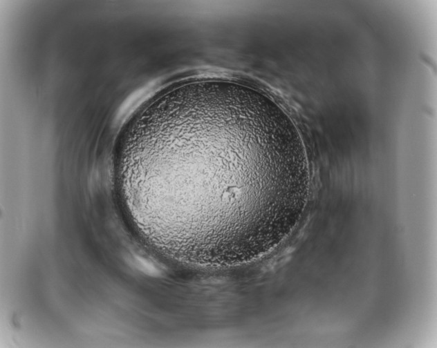 X0000096420247200801241323