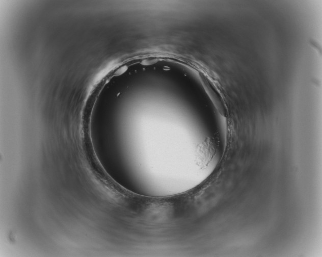 X0000096420248200801241323