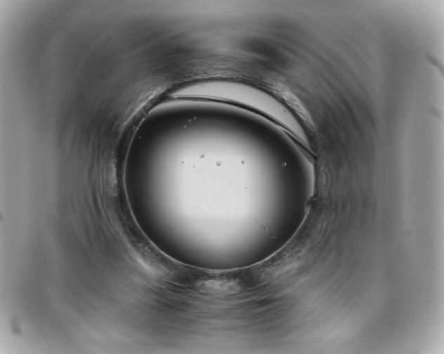 X0000096420251200801241323