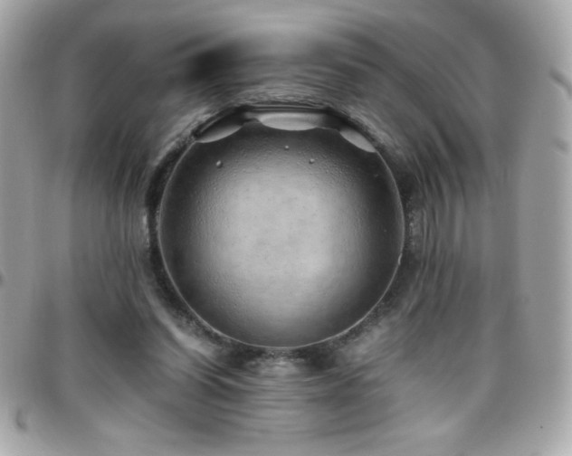 X0000096420254200801241323