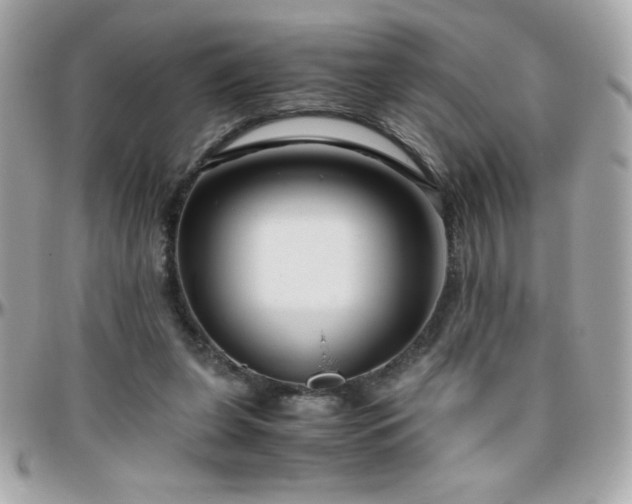 X0000096420255200801241323
