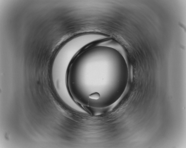 X0000096420256200801241323
