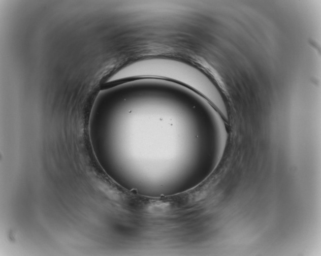 X0000096420257200801241323