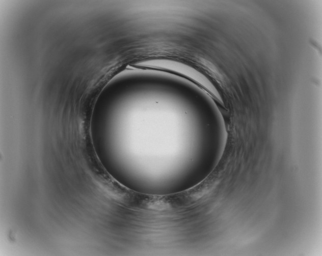 X0000096420258200801241323