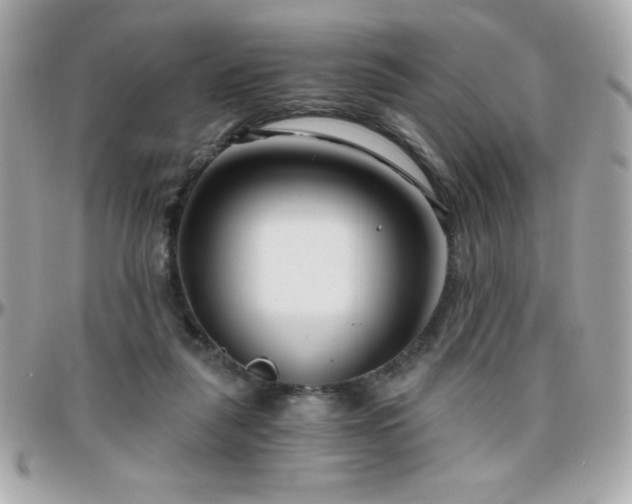 X0000096420259200801241323