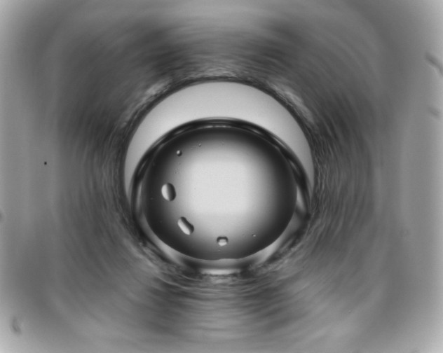 X0000096420260200801241323