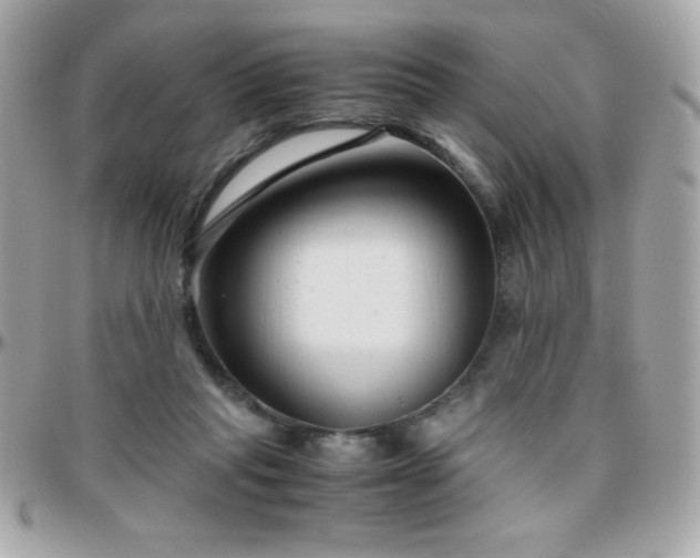 X0000096420261200801241323