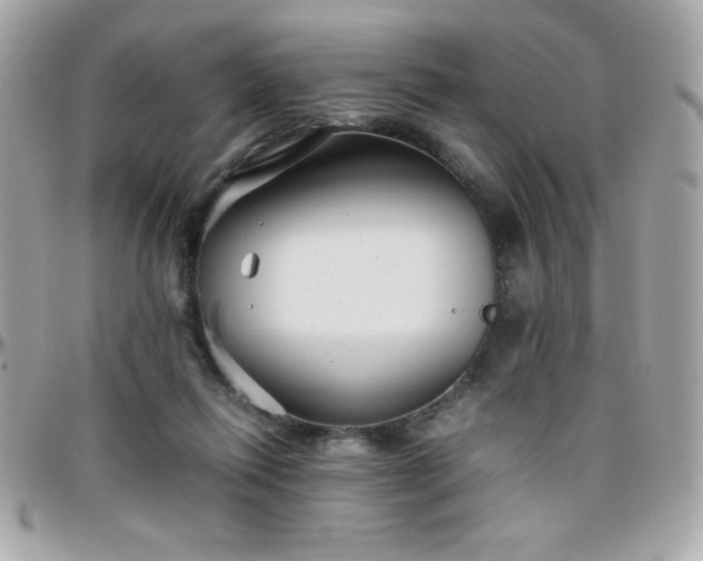 X0000096420262200801241323