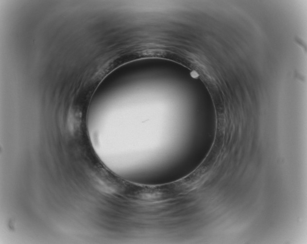 X0000096420263200801241323