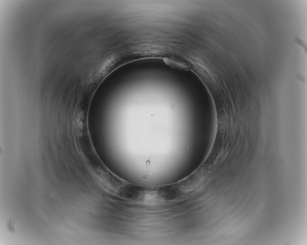 X0000096420264200801241323