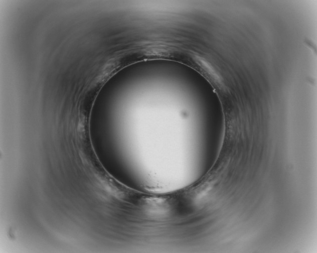 X0000096420265200801241323