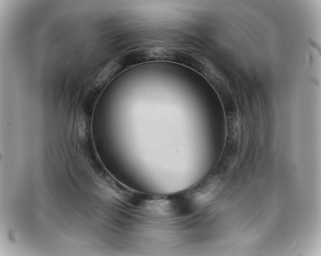 X0000096420266200801241323