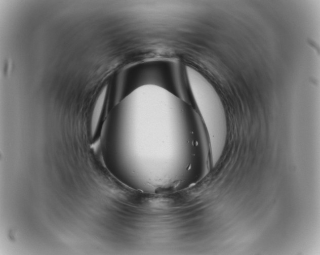 X0000096420268200801241323