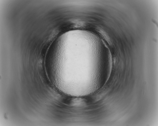 X0000096420269200801241323