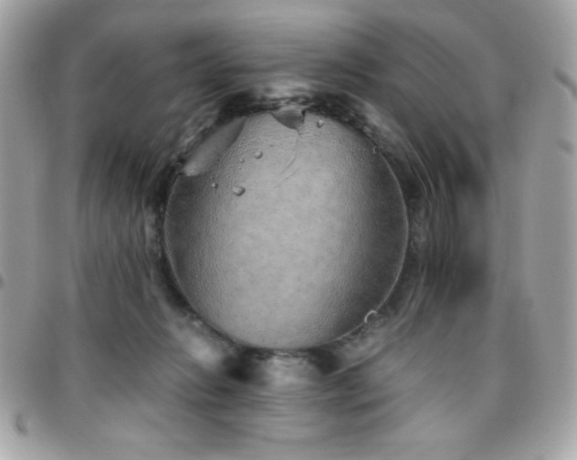 X0000096420270200801241323