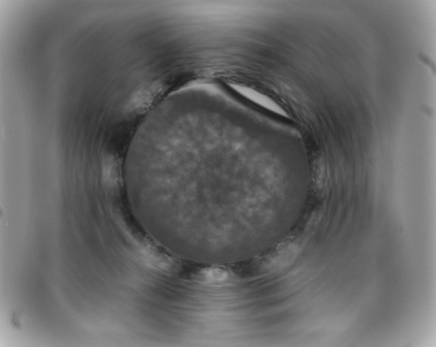 X0000096420272200801241323