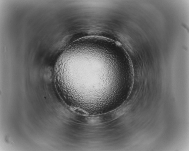 X0000096420273200801241323