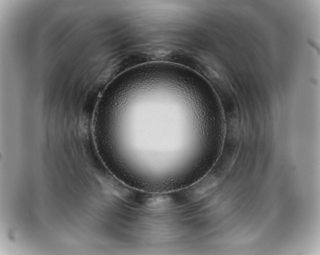 X0000096420274200801241323