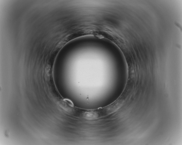 X0000096420275200801241323